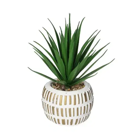 Dekoria Dekorácia Aloe Vera v kvetináči 13cm, 8 x 8 x 13 cm