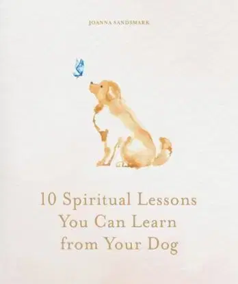 10 Spiritual Lessons You Can Learn from Your Dog - Joanna Sandsmark