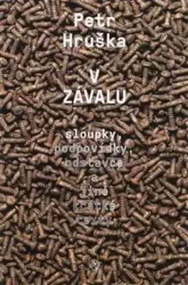 V závalu - Petr Hruška