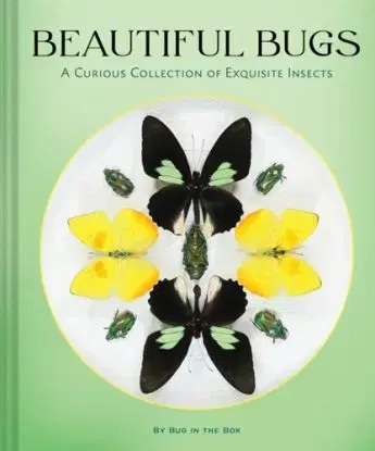 Beautiful Bugs - in the Box