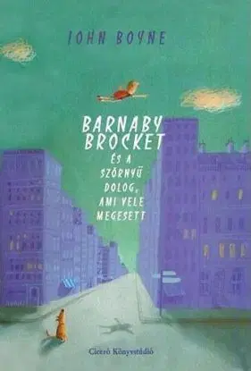 Barnaby Brocket és a szörnyű dolog, ami vele megesett - John Boyne