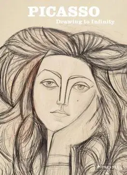 Picasso - Drawing to Infinity - Anne Lemonnier, Johan Popelard