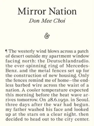 Mirror Nation - Don Mee Choi