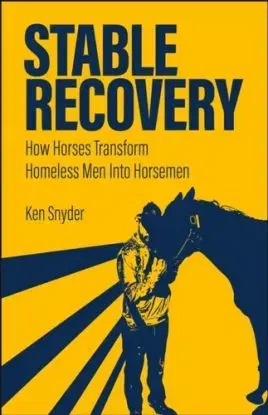 Stable Recovery - Ken Snyder
