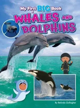 My First BIG Book of WHALES and DOLPHINS - Belinda Gallagher