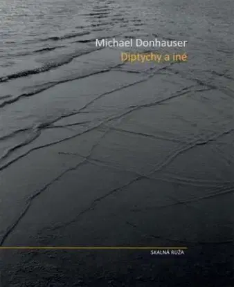 Diptychy a iné - Michael Donhasuer