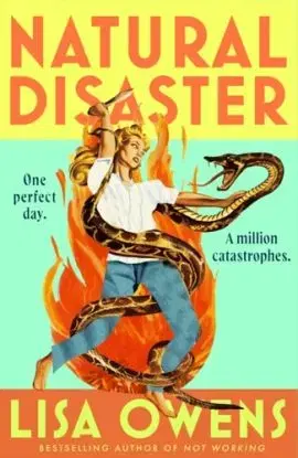 Natural Disaster - Lisa Owens