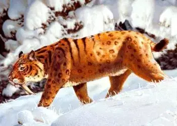 (B) 3D pohľadnica Šabľozubý tiger