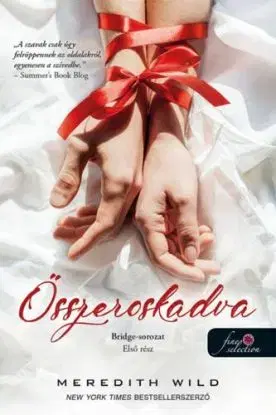 Bridge 1: Összeroskadva - Wild Meredith