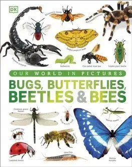 Our World in Pictures Bugs, Butterflies, Beetles and Bees - Ben Ffrancon Dowds, Andrea Mills, Lizzie Munsey