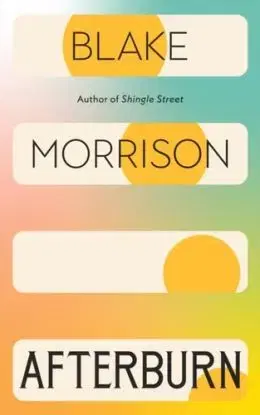 Afterburn - Blake Morrison