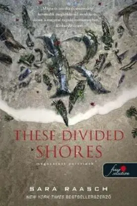 These Divided Shores - Megosztott partvidék (Folyami kalózok 2.) - Sara Raasch