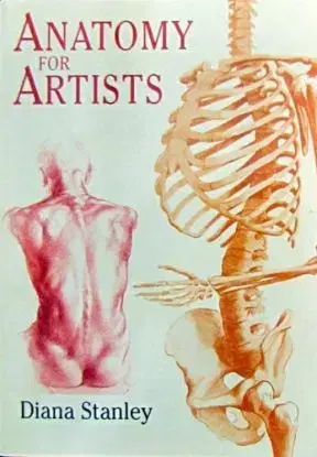Anatomy For Artists