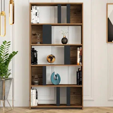 Knižnica Lima - Walnut, Anthracite