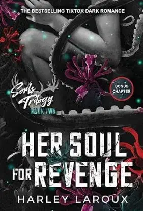 Her Soul for Revenge - Souls Trilogy 2 - Harley Laroux