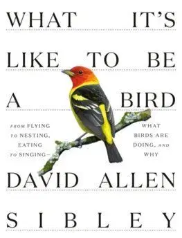 What It's Like to be a Bird - David Sibley