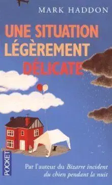 Une Situation Legerement Delicate - Mark Haddon
