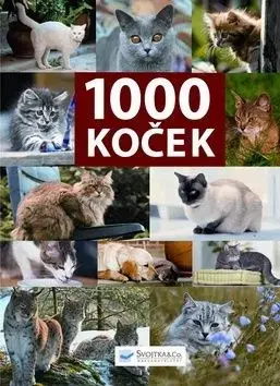 1000 koček