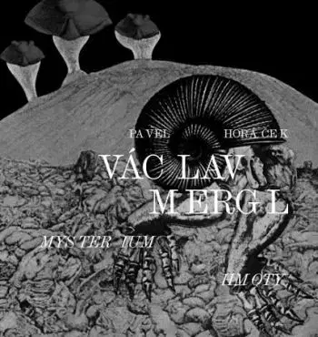 Václav Mergl – Mysterium hmoty - Pavel Horáček